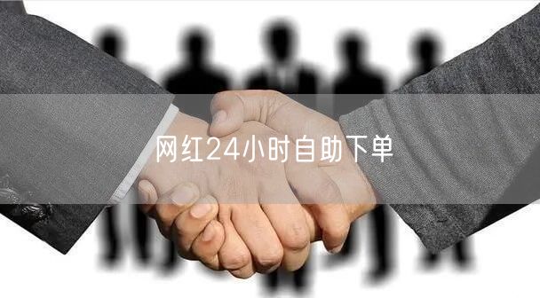 网红24小时自助下单