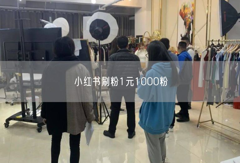 小红书刷粉1元1000粉