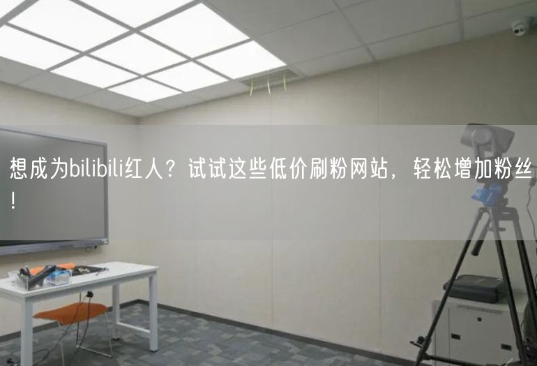 想成为bilibili红人？试试这些低价刷粉网站，轻松增加粉丝！