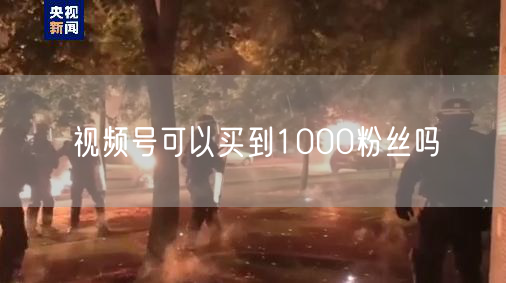 视频号可以买到1000粉丝吗
