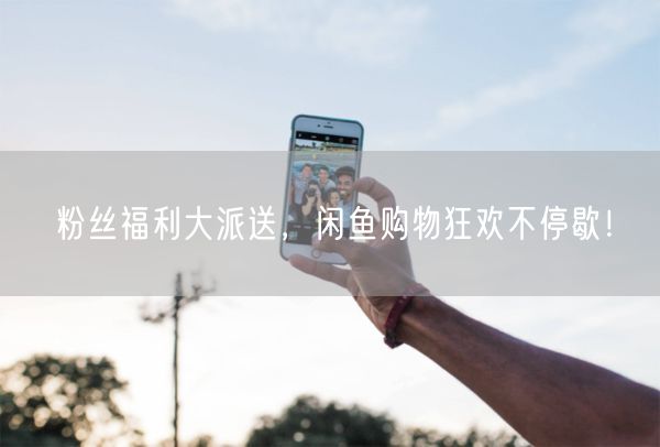 粉丝福利大派送，闲鱼购物狂欢不停歇！