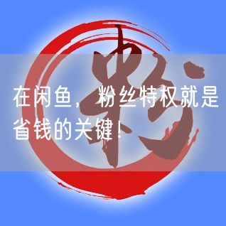 在闲鱼，粉丝特权就是省钱的关键！