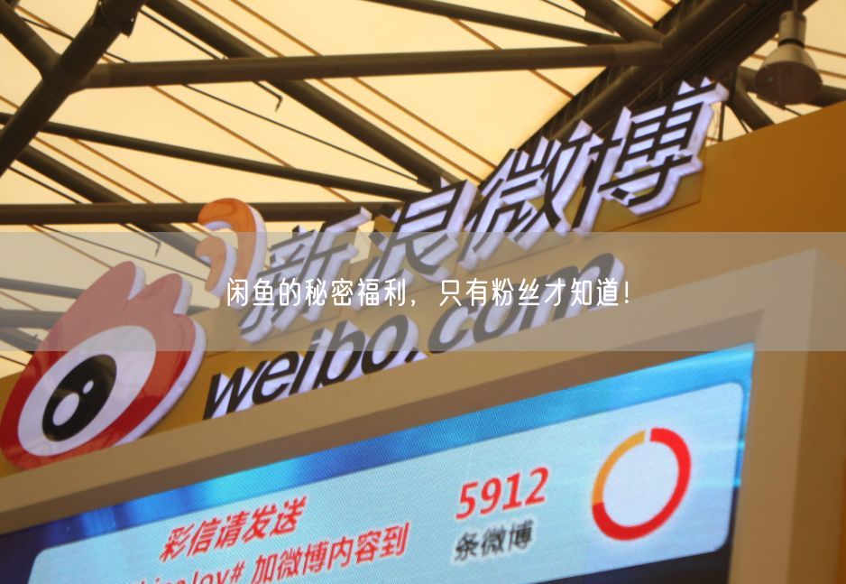 闲鱼的秘密福利，只有粉丝才知道！