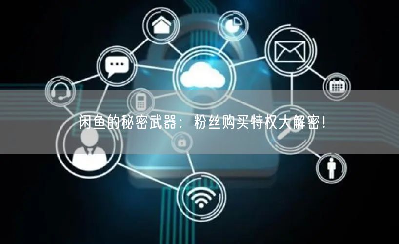 闲鱼的秘密武器：粉丝购买特权大解密！