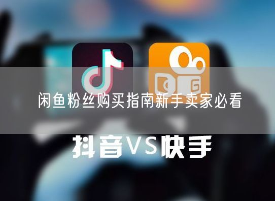 闲鱼粉丝购买指南新手卖家必看