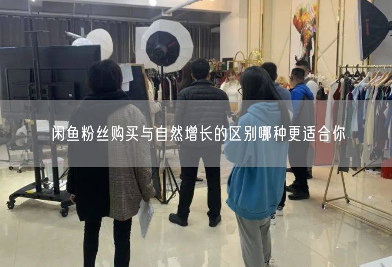闲鱼粉丝购买与自然增长的区别哪种更适合你