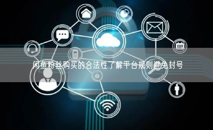 闲鱼粉丝购买的合法性了解平台规则避免封号