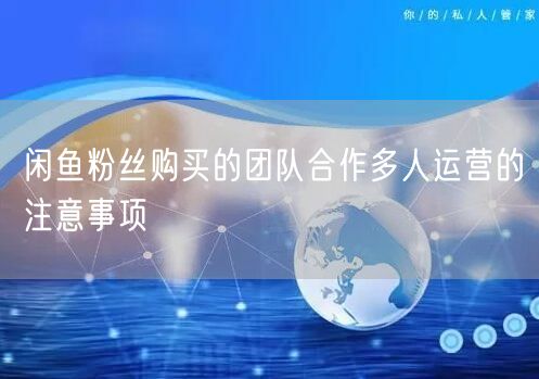 闲鱼粉丝购买的团队合作多人运营的注意事项