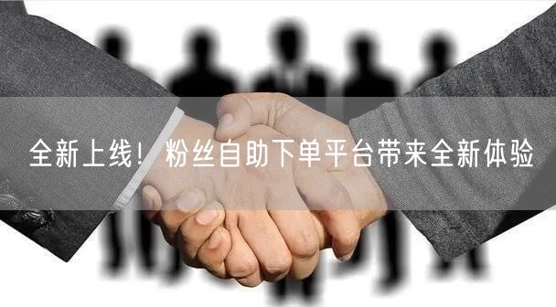 全新上线！粉丝自助下单平台带来全新体验
