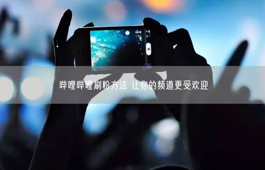 哔哩哔哩刷粉方法 让你的频道更受欢迎